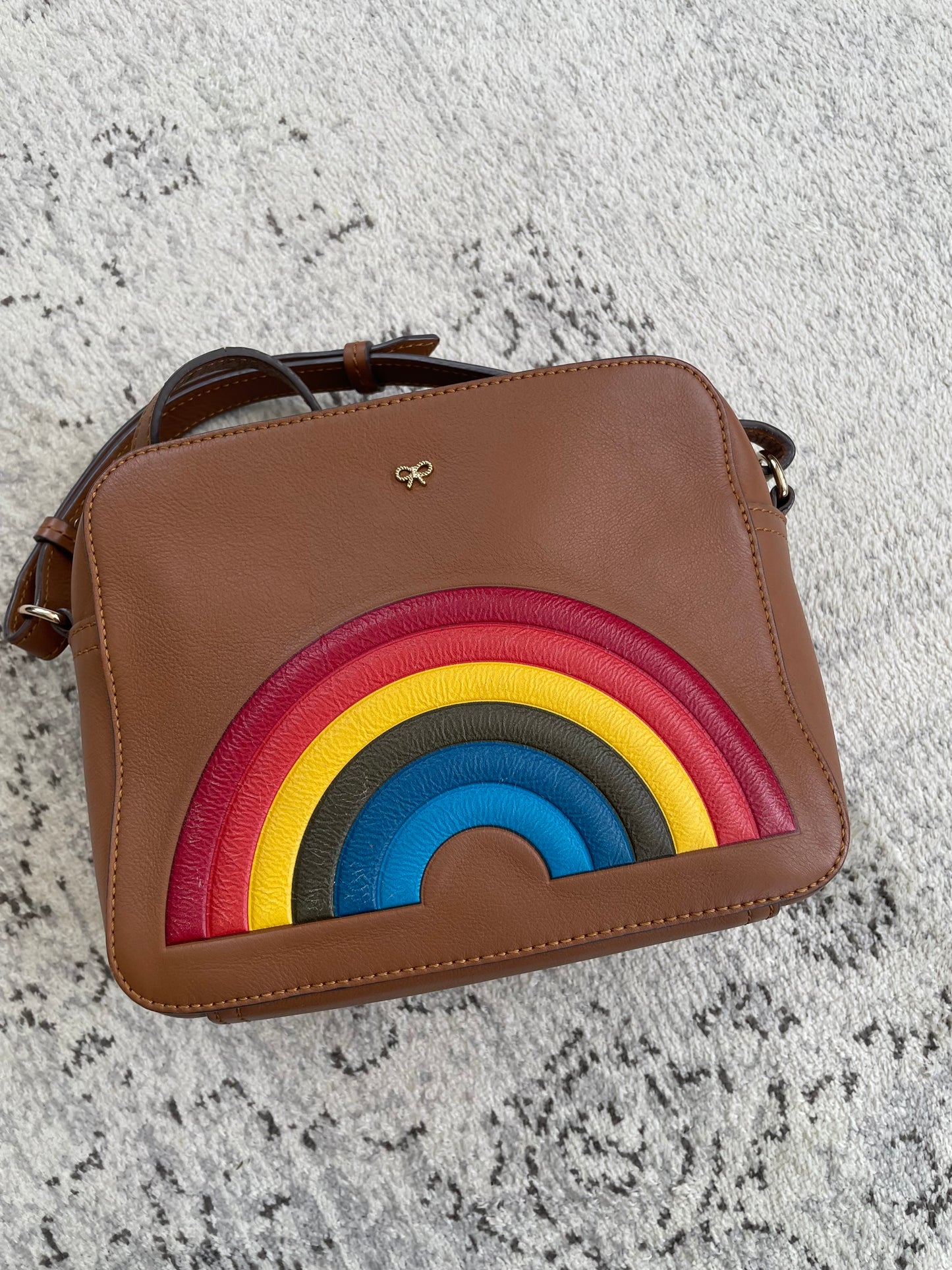 Preloved Anya Hindmarch Rainbow Crossbody Bag