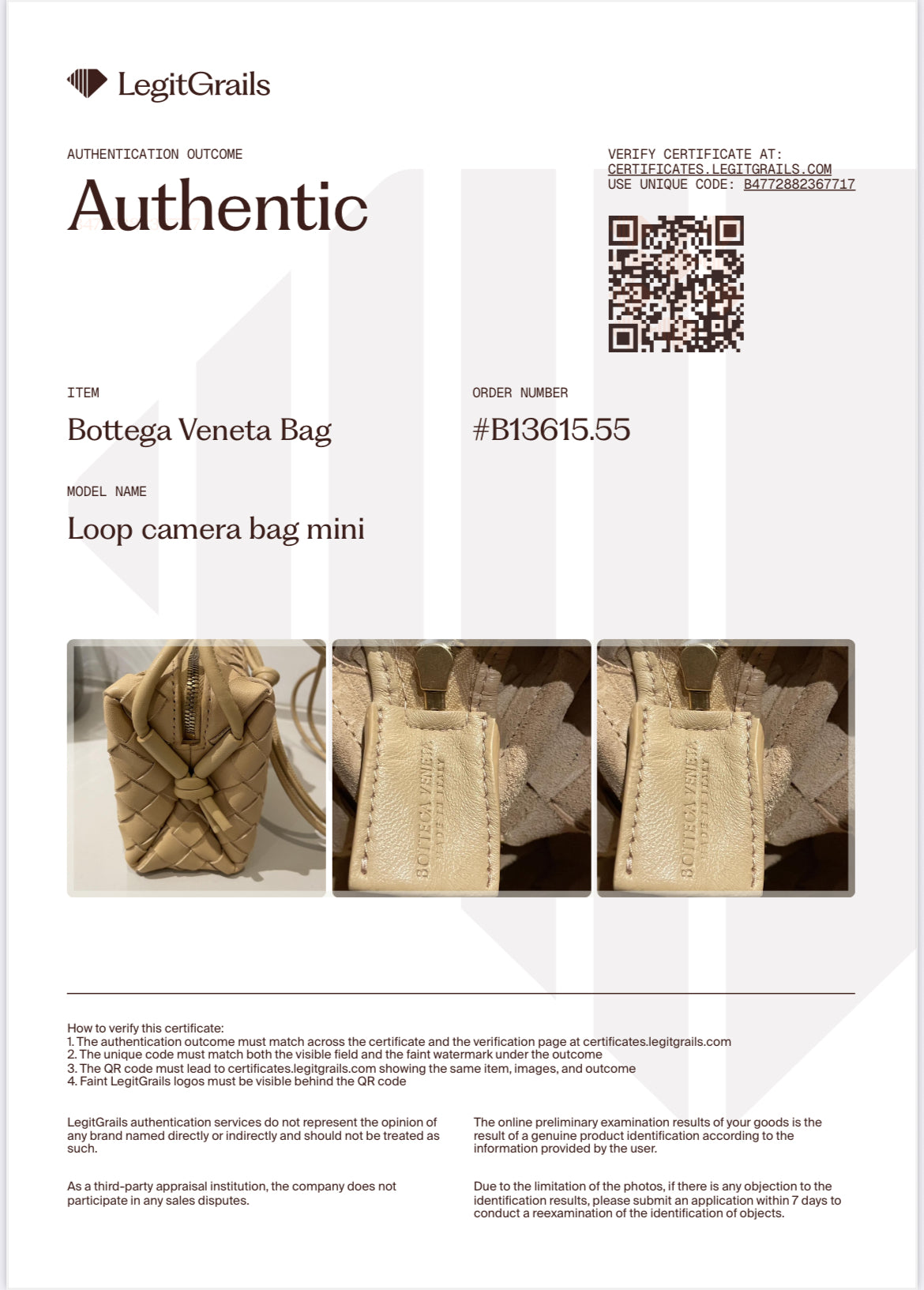 Preloved Bottega Veneta Loop Camera Bag, Mini