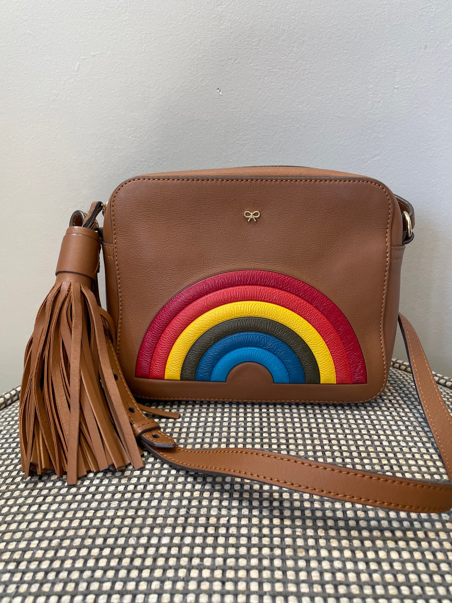 Preloved Anya Hindmarch Rainbow Crossbody Bag
