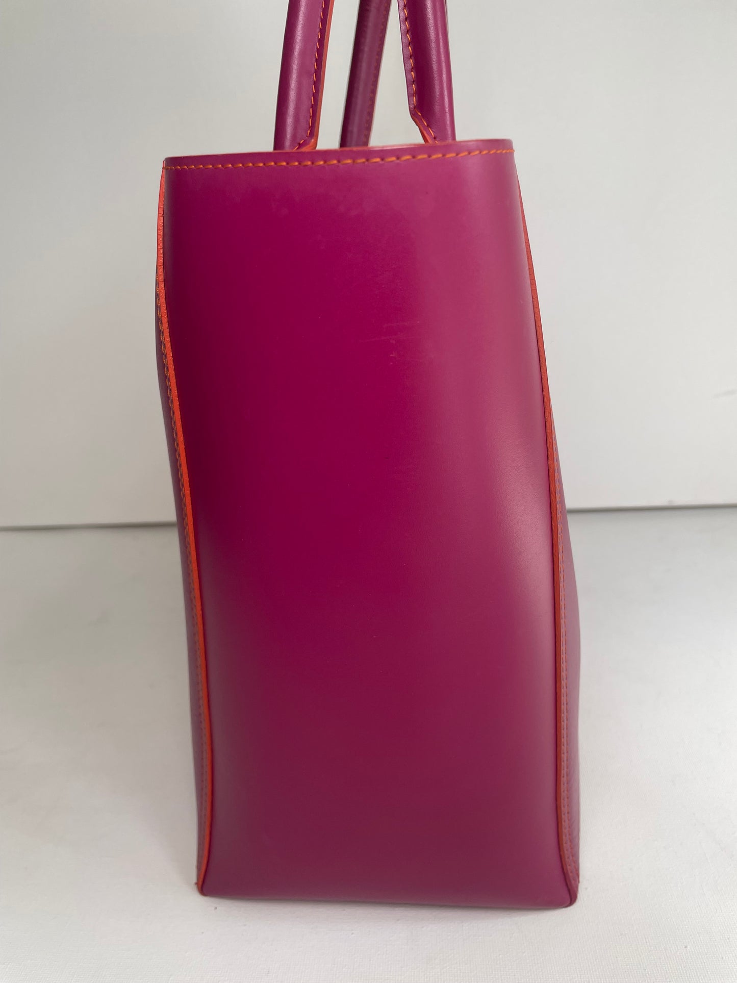 Preloved Loewe Leo Tote Bag