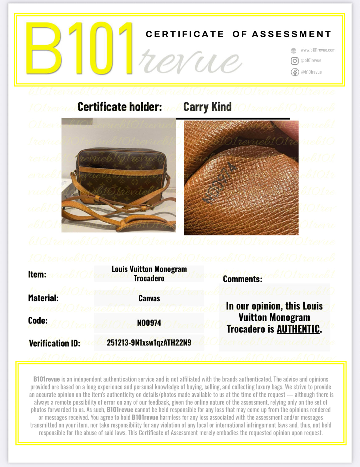 Preloved Vintage Louis Vuitton Canvas Trocadero Bag