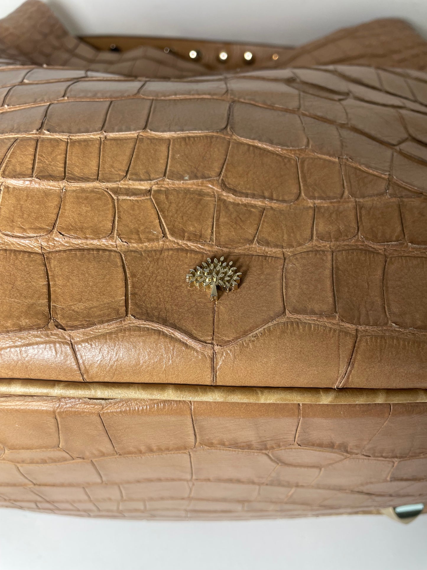 Preloved Mulberry Eliza Hobo Bag, Large