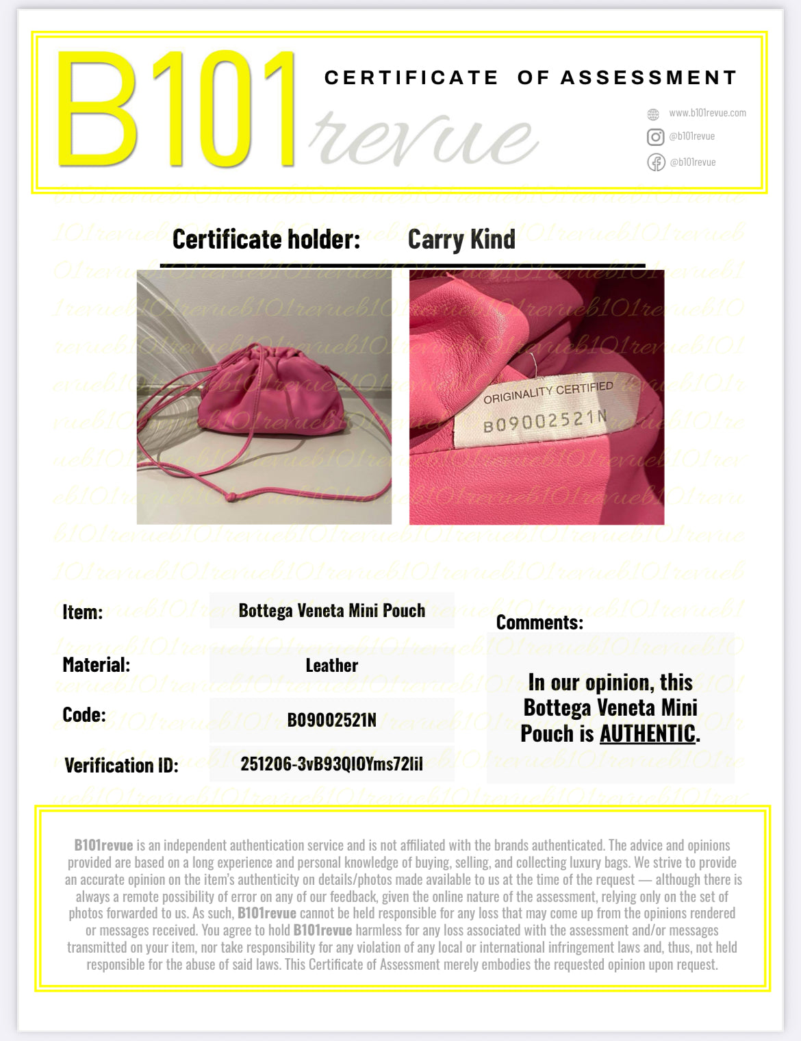 Preloved Bottega Veneta Pouch With Shoulder Strap, Mini