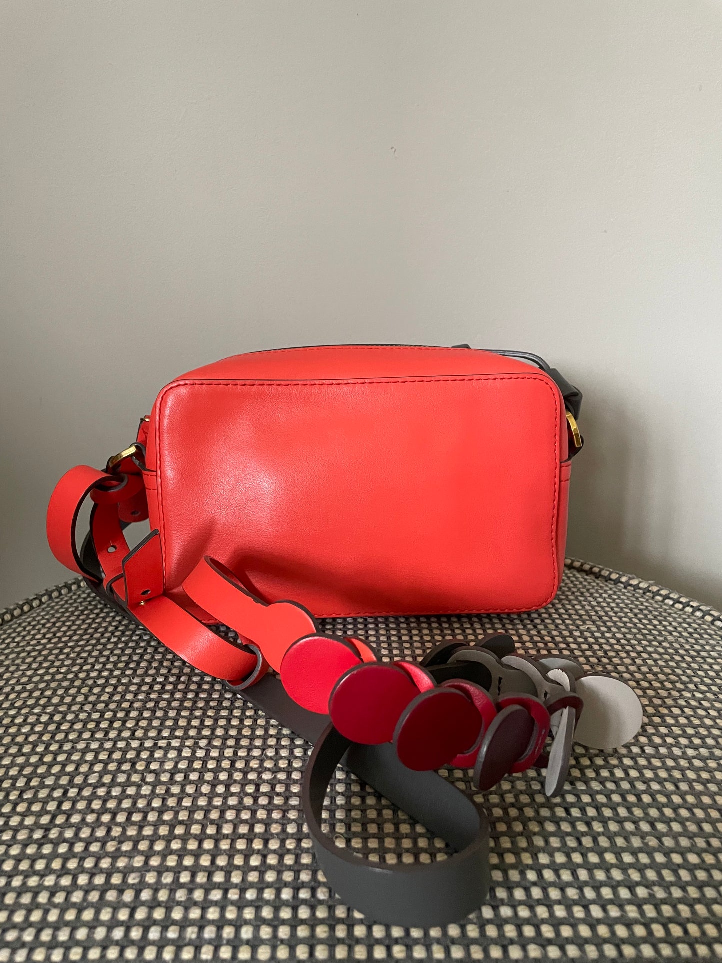 Preloved Anya Hindmarch Circle Camera Crossbody Bag