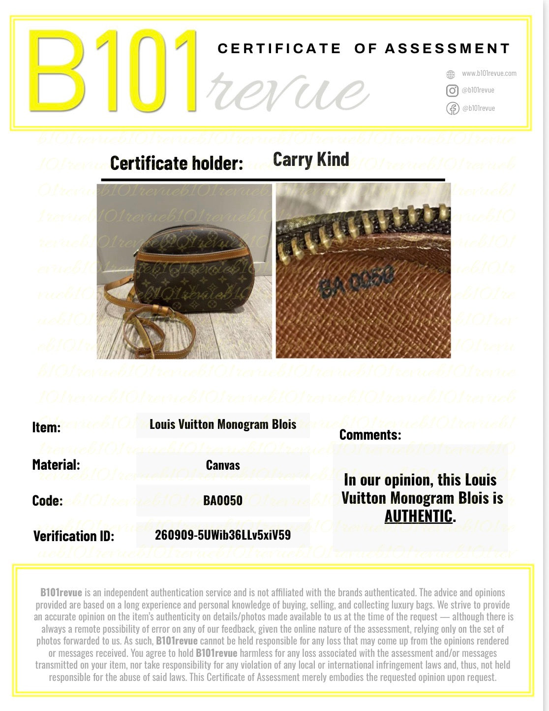 Preloved Louis Vuitton Blois Camera Bag