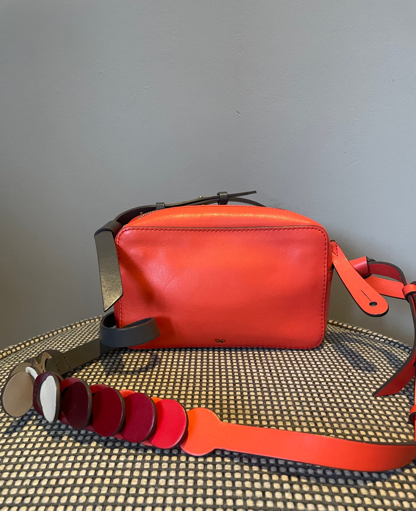 Preloved Anya Hindmarch Circle Camera Crossbody Bag