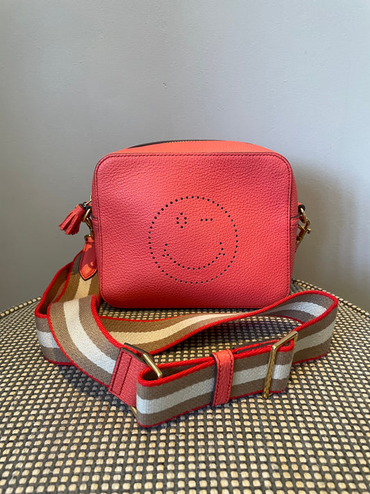 Preloved Anya Hindmarch Wink Crossbody Bag
